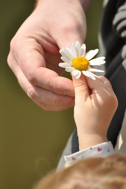 Menemukan Keheningan di Antara Tugas Harian